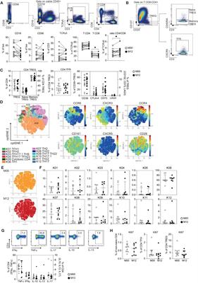 Teriflunomide Treatment of Multiple Sclerosis Selectively Modulates CD8 Memory T Cells